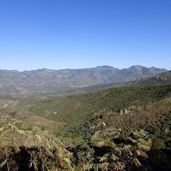 Sierra Medre Mountains North of Tarachi
